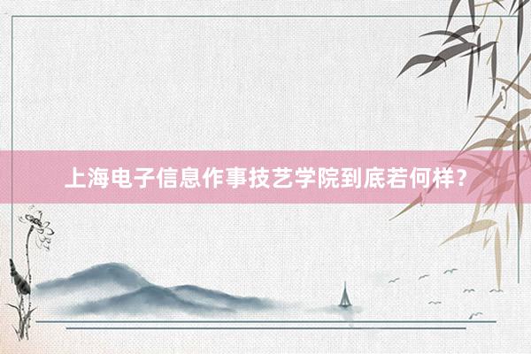 上海电子信息作事技艺学院到底若何样？