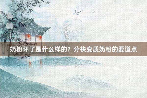 奶粉坏了是什么样的？分袂变质奶粉的要道点